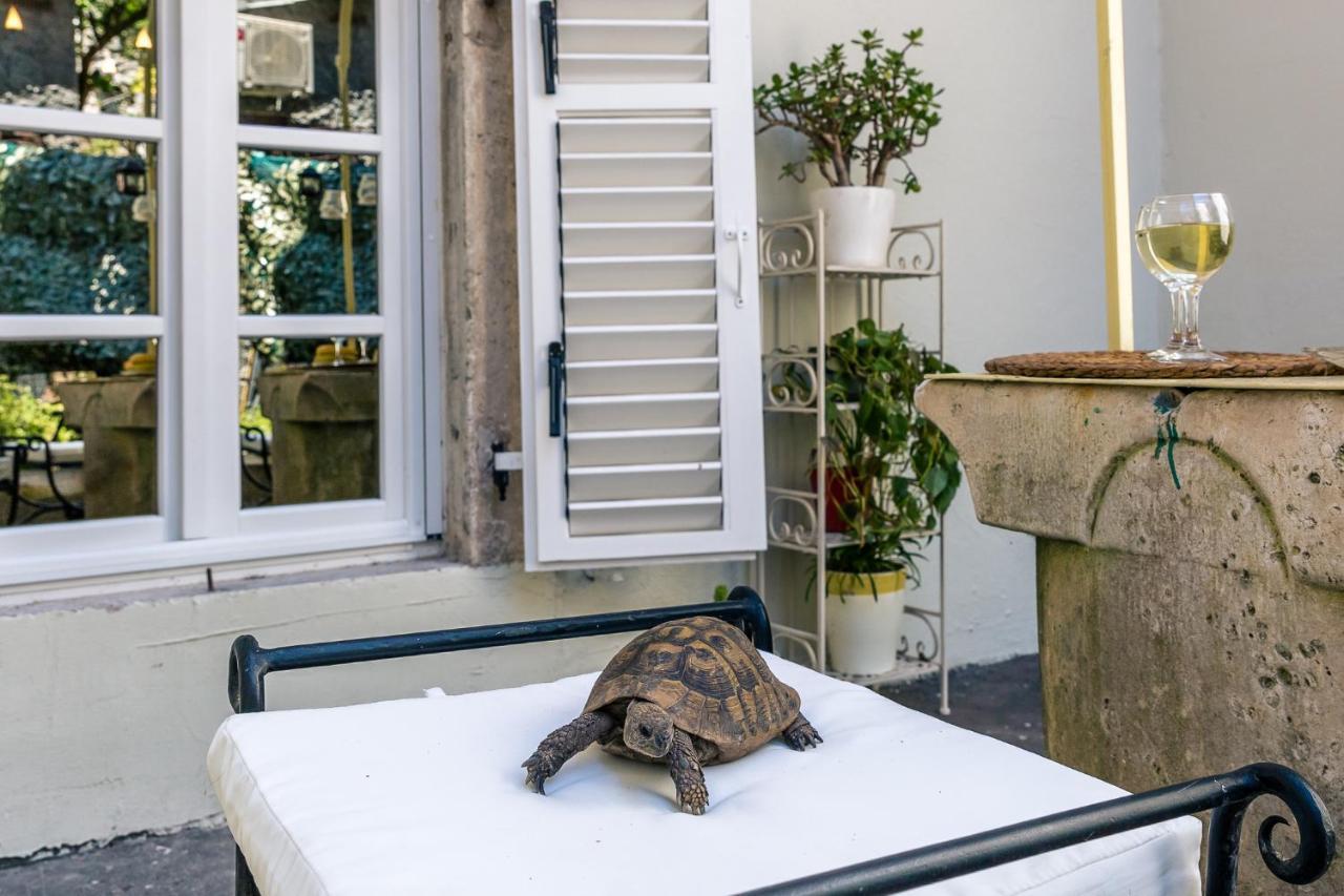 Perfetto Perasto Residence Eksteriør bilde