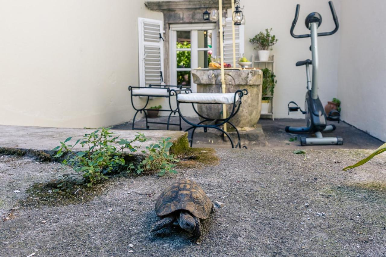 Perfetto Perasto Residence Eksteriør bilde